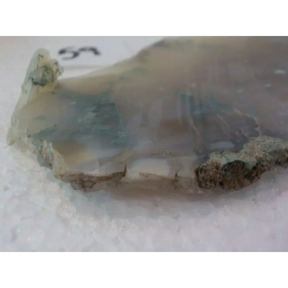 Oregon Moss Agate Maury Mountain Central Oregon Ochoco Rock Slab Translucent